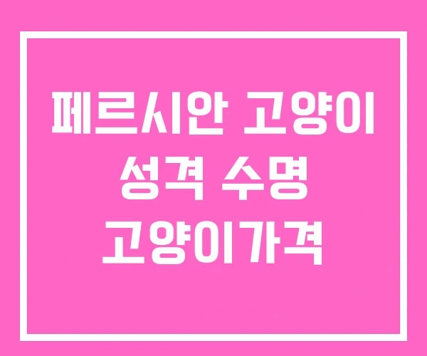 페르시안 고양이 성격 수명 고양이가격 페르시안 고양이 성격 수명 고양이가격