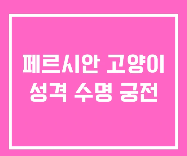 페르시안 고양이 성격 수명 궁전