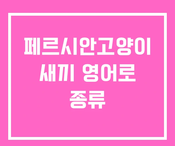 페르시안고양이 새끼 영어로 종류 페르시안고양이 새끼 영어로 종류