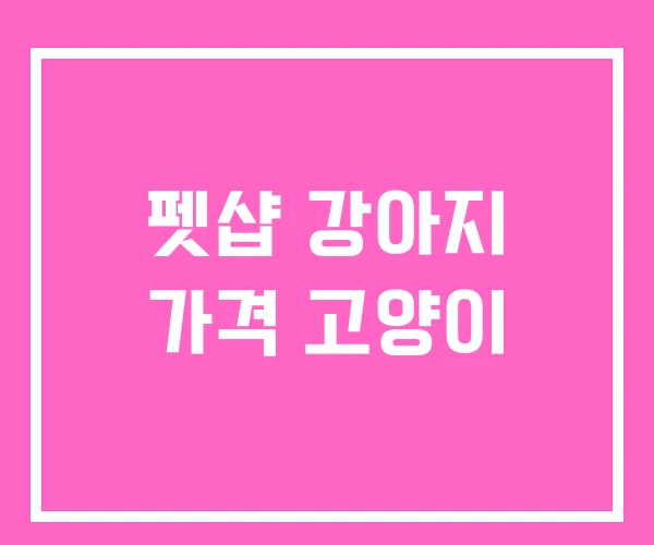 펫샵 강아지 가격 고양이 펫샵 강아지 가격 고양이