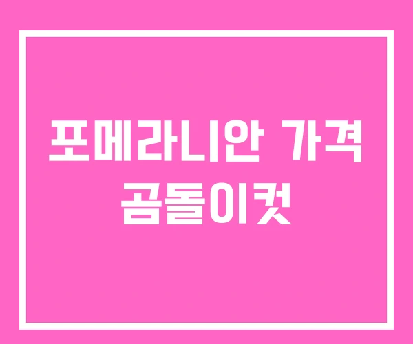 포메라니안 가격 곰돌이컷