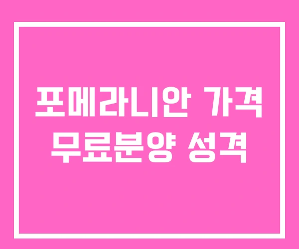 포메라니안 가격 무료분양 성격