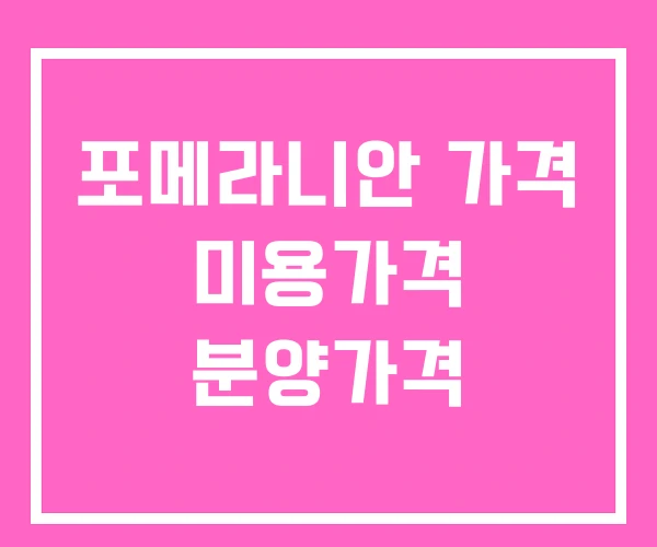 포메라니안 가격 미용가격 분양가격 포메라니안 가격 미용가격 분양가격