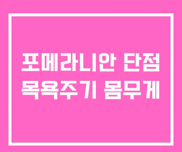 포메라니안 단점 목욕주기 몸무게