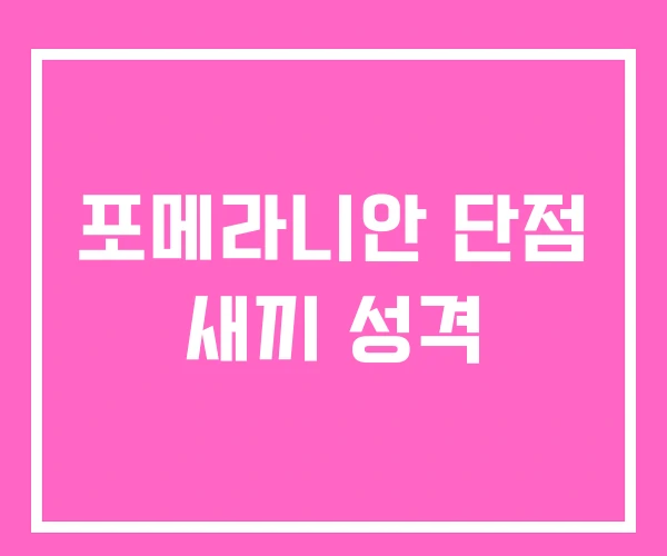 포메라니안 단점 새끼 성격 포메라니안 단점 새끼 성격