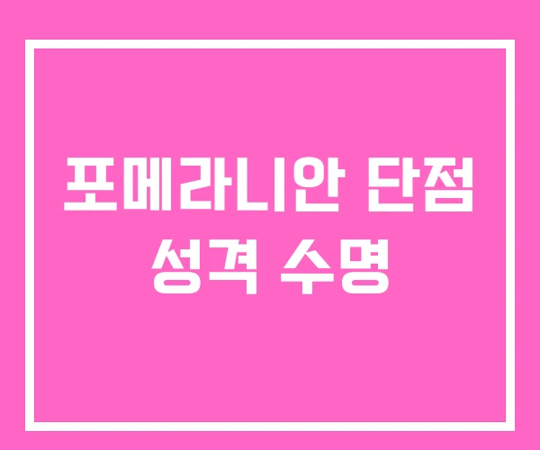 포메라니안 단점 성격 수명 포메라니안 단점 성격 수명