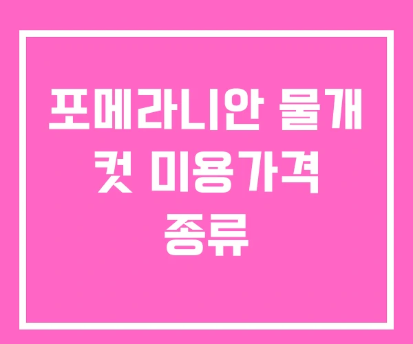 포메라니안 물개 컷 미용가격 종류 포메라니안 물개 컷 미용가격 종류