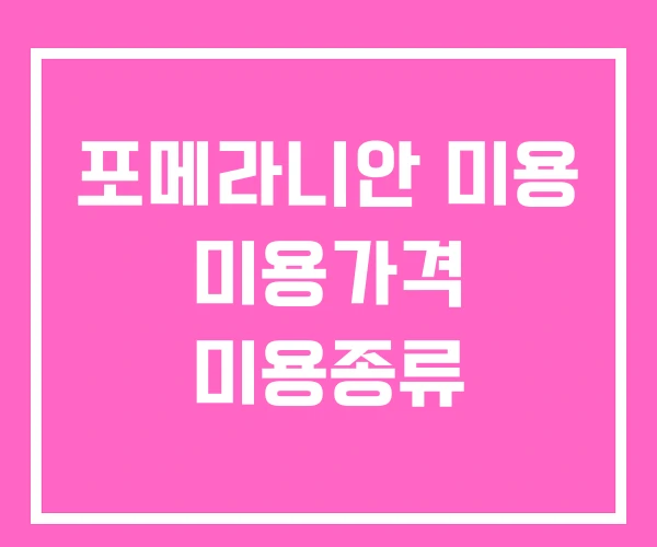 포메라니안 미용 미용가격 미용종류
