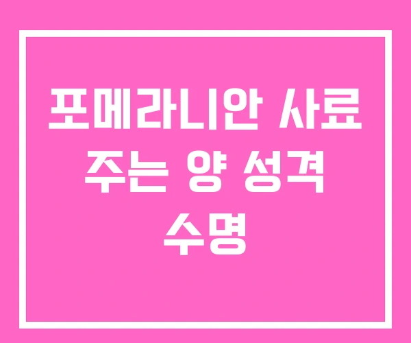 포메라니안 사료 주는 양 성격 수명