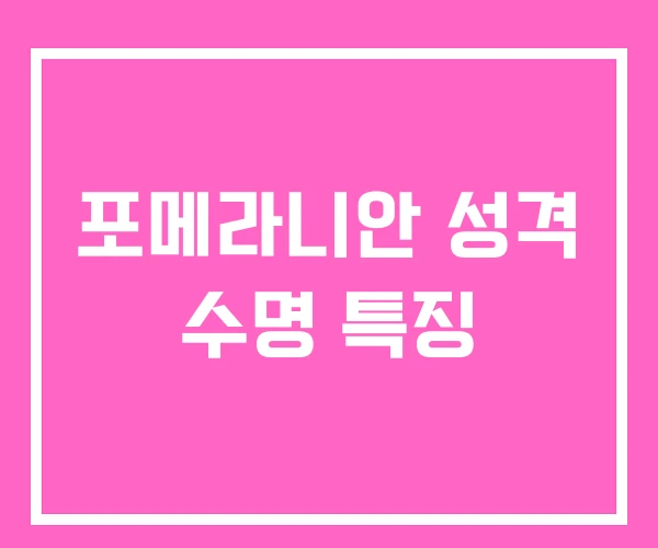 포메라니안 성격 수명 특징