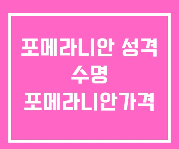 포메라니안 성격 수명 포메라니안가격