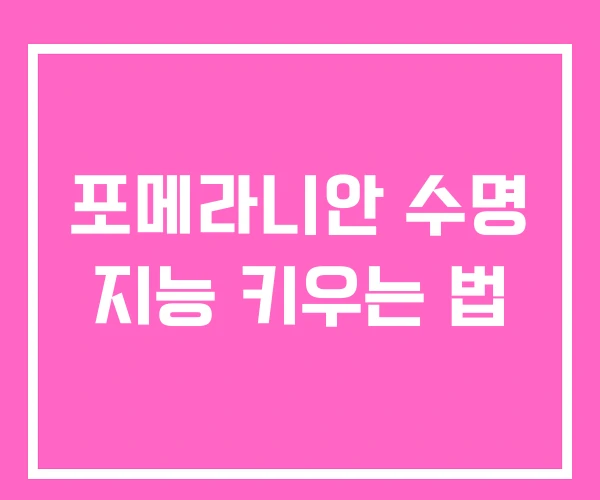 포메라니안 수명 지능 키우는 법