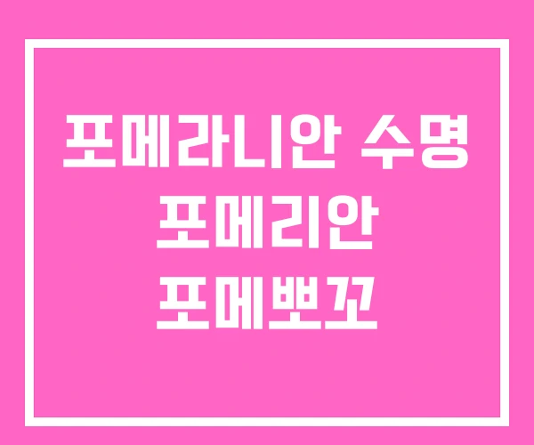 포메라니안 수명 포메리안 포메뽀꼬 포메라니안 수명 포메리안 포메뽀꼬