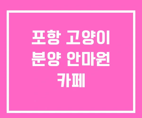 포항 고양이 분양 안마원 카페