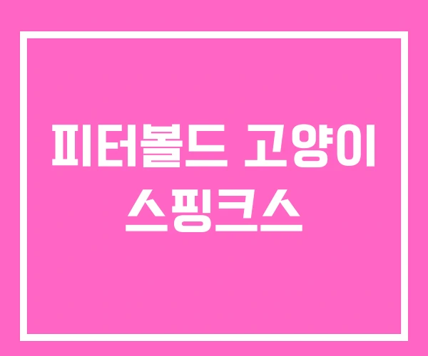 피터볼드 고양이 스핑크스
