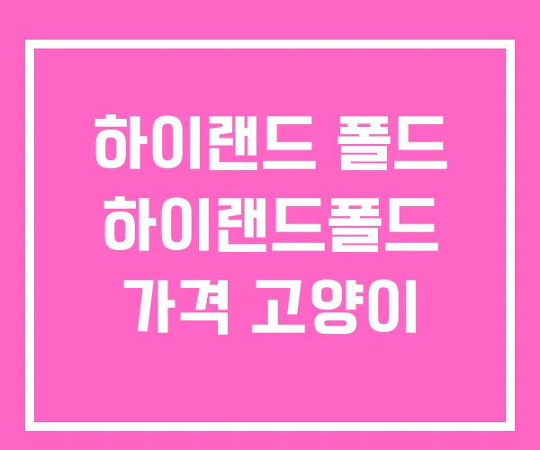 하이랜드 폴드 하이랜드폴드 가격 고양이