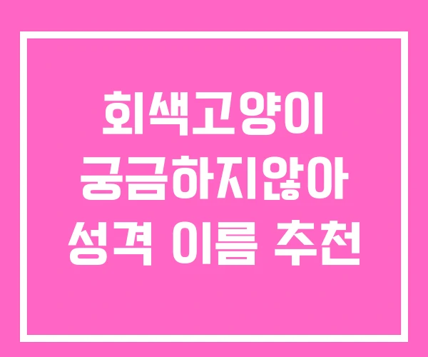 회색고양이 궁금하지않아 성격 이름 추천 회색고양이 궁금하지않아 성격 이름 추천