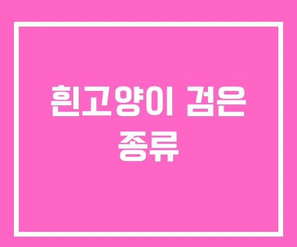 흰고양이 검은 종류 흰고양이 검은 종류