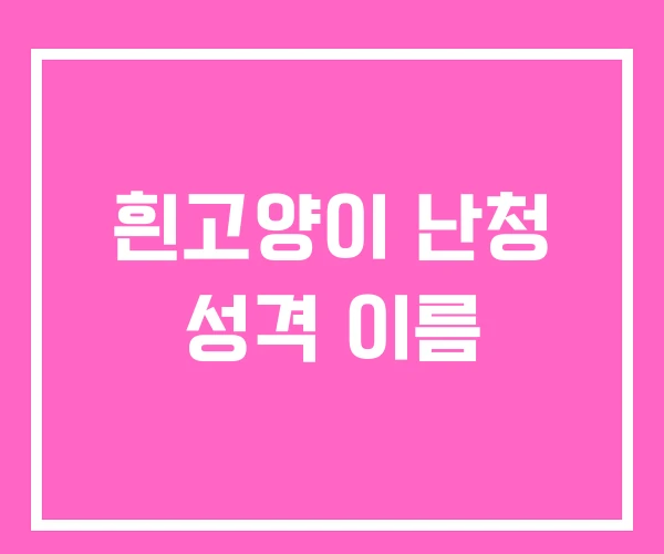 흰고양이 난청 성격 이름 흰고양이 난청 성격 이름