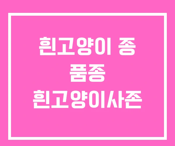 흰고양이 종 품종 흰고양이사존 흰고양이 종 품종 흰고양이사존