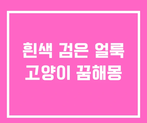 흰색 검은 얼룩 고양이 꿈해몽 흰색 검은 얼룩 고양이 꿈해몽