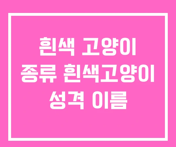 흰색 고양이 종류 흰색고양이 성격 이름 흰색 고양이 종류 흰색고양이 성격 이름