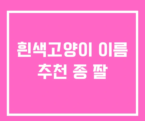 흰색고양이 이름 추천 종 짤 흰색고양이 이름 추천 종 짤