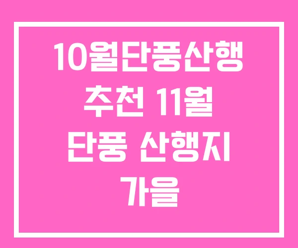 10월단풍산행 추천 11월 단풍 산행지 가을