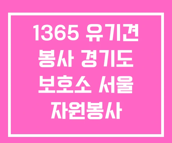 1365 유기견 봉사 경기도 보호소 서울 자원봉사