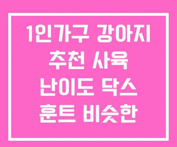 1인가구 강아지 추천 사육 난이도 닥스 훈트 비슷한
