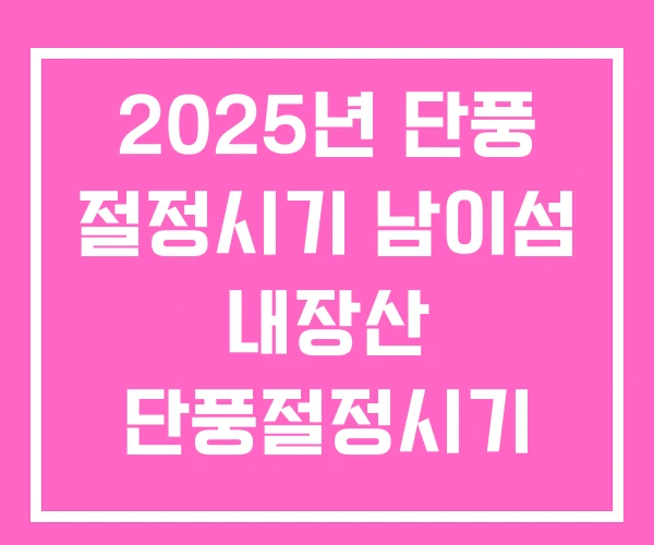 2025년 단풍 절정시기 남이섬 내장산 단풍절정시기