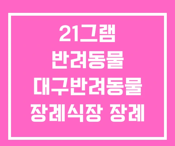 21그램 반려동물 대구반려동물 장례식장 장례 서비스