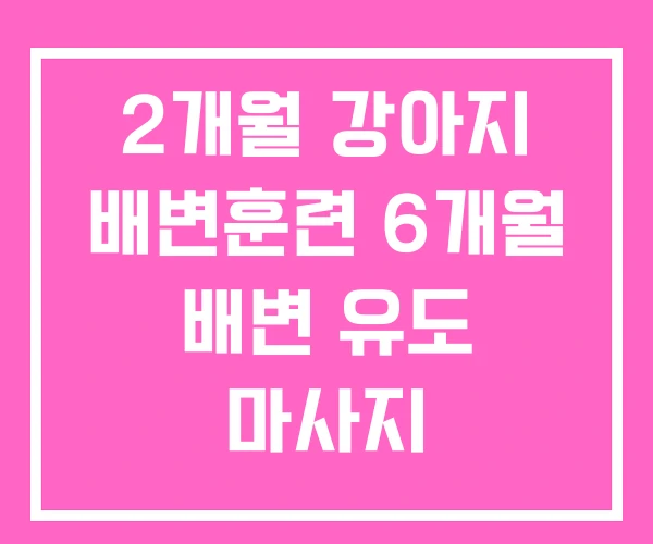 2개월 강아지 배변훈련 6개월 배변 유도 마사지