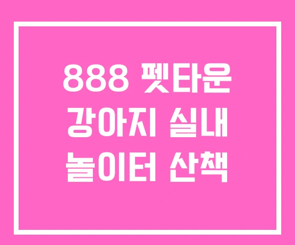888 펫타운 강아지 실내 놀이터 산책
