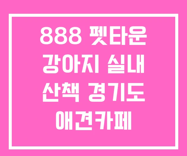 888 펫타운 강아지 실내 산책 경기도 애견카페