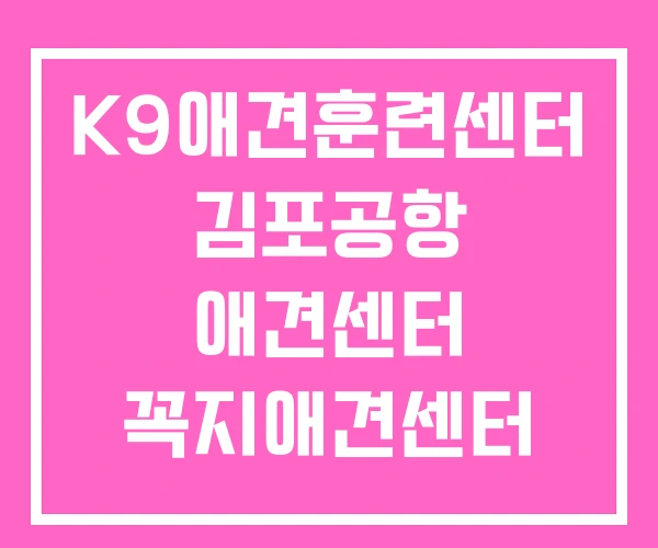 K9애견훈련센터 김포공항 애견센터 꼭지애견센터