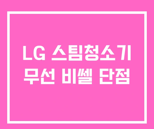 LG 스팀청소기 무선 비쎌 단점