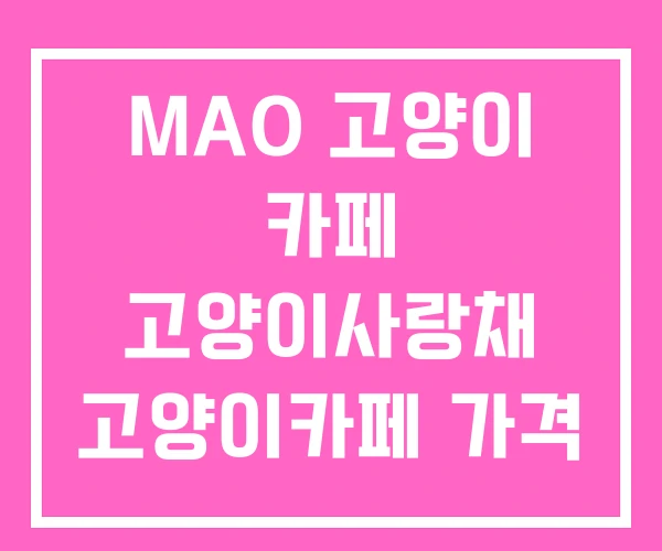 MAO 고양이 카페 고양이사랑채 고양이카페 가격