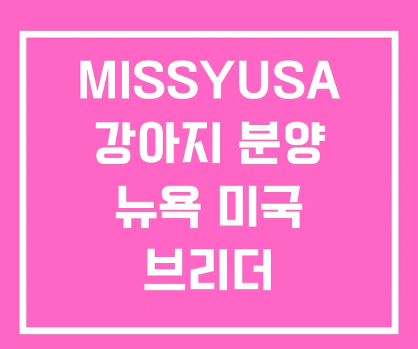 MISSYUSA 강아지 분양 뉴욕 미국 브리더