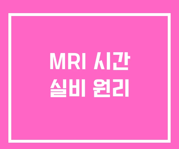 MRI 시간 실비 원리