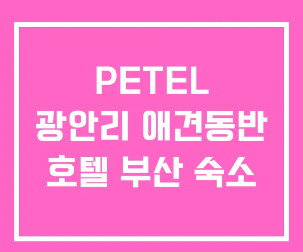 PETEL 광안리 애견동반 호텔 부산 숙소