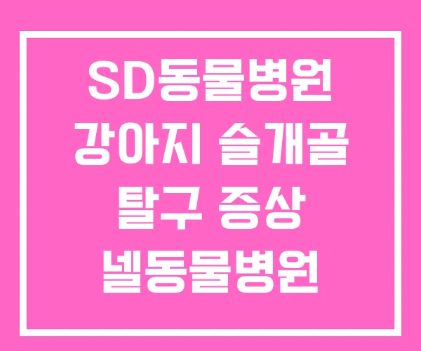 SD동물병원 강아지 슬개골 탈구 증상 넬동물병원