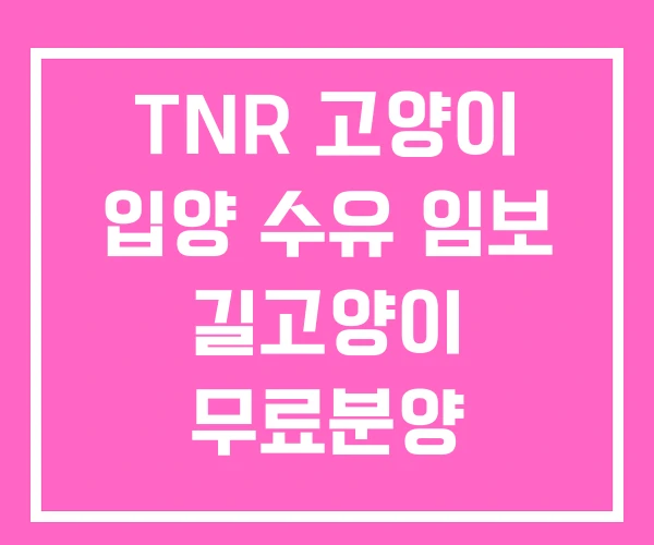 TNR 고양이 입양 수유 임보 길고양이 무료분양