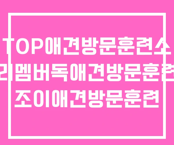 TOP애견방문훈련소 리멤버독애견방문훈련 조이애견방문훈련 TOP애견방문훈련소 리멤버독애견방문훈련 조이애견방문훈련