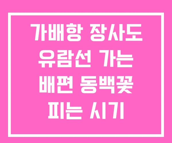 가배항 장사도 유람선 가는 배편 동백꽃 피는 시기 가배항 장사도 유람선 가는 배편 동백꽃 피는 시기