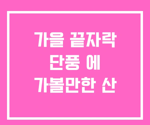 가을 끝자락 단풍 에 가볼만한 산 가을 끝자락 단풍 에 가볼만한 산