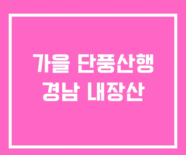 가을 단풍산행 경남 내장산