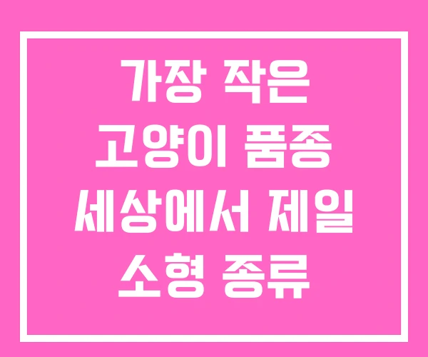 가장 작은 고양이 품종 세상에서 제일 소형 종류 가장 작은 고양이 품종 세상에서 제일 소형 종류