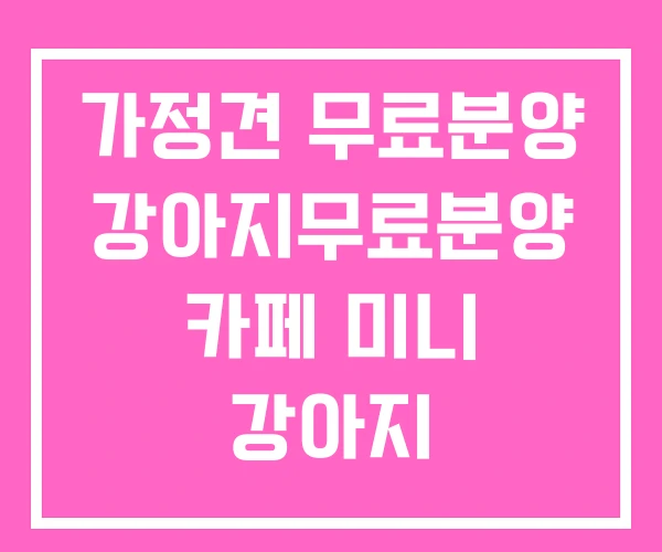가정견 무료분양 강아지무료분양 카페 미니 강아지 가정견 무료분양 강아지무료분양 카페 미니 강아지