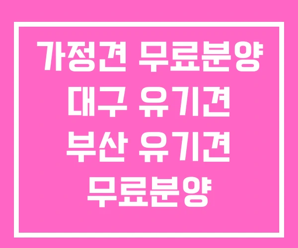 가정견 무료분양 대구 유기견 부산 유기견 무료분양 가정견 무료분양 대구 유기견 부산 유기견 무료분양